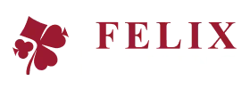 Felixgaming — Wyns Casino